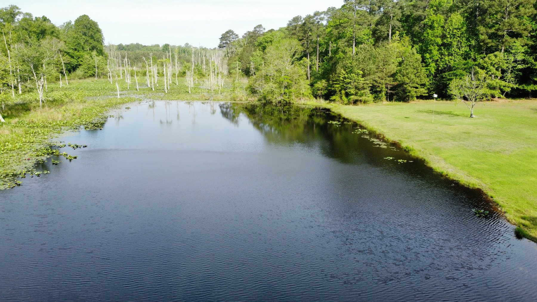 Image for Valuable Real Estate in Dinwiddie, VA