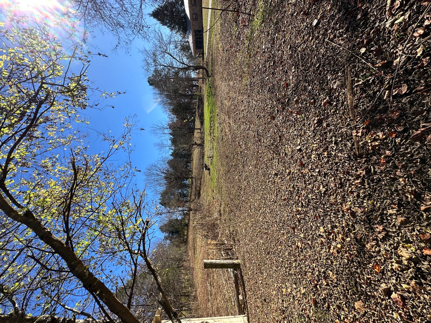 Image for 4925 Old Kentucky Road Absolute Auction, Morristown TN -  5+/- Acres/Plus House