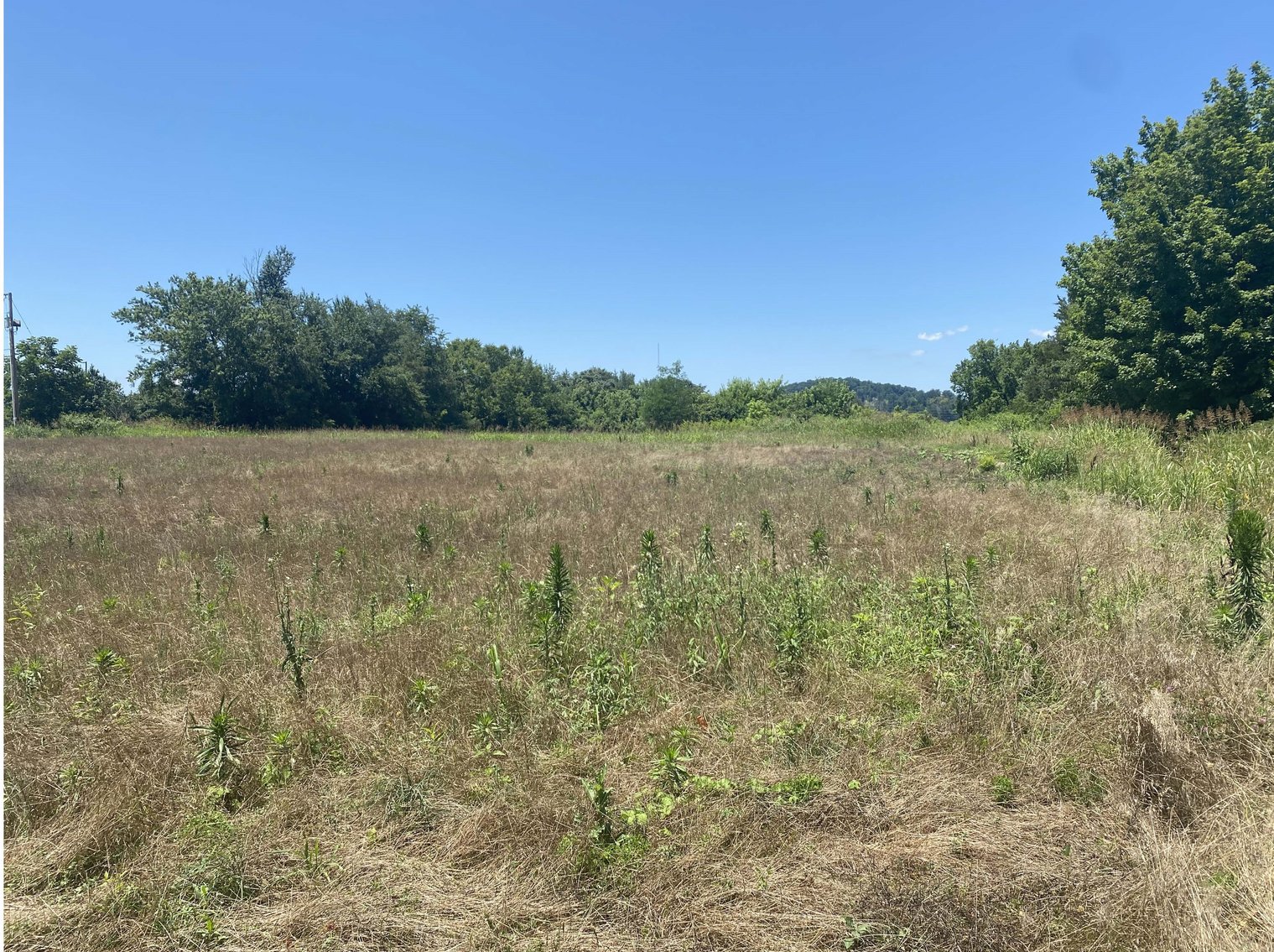 Image for 2600 W Andrew Johnson Hwy  Morristown,  TN - Commercial Lot