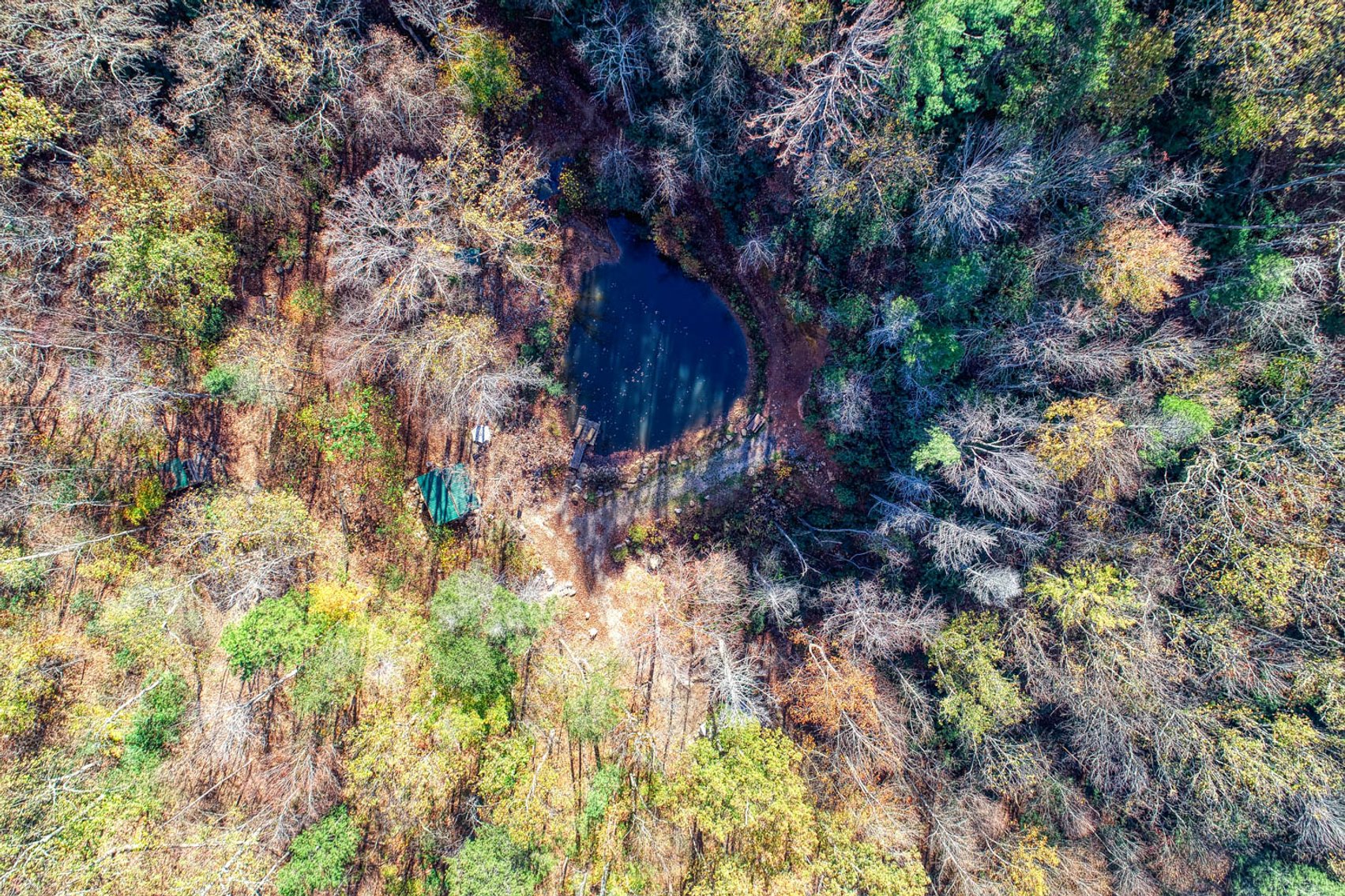 Image for Get Farther Away Cabin Rentals - 1900 Woodland Way. Newport, TN. Timed Reserve Auction