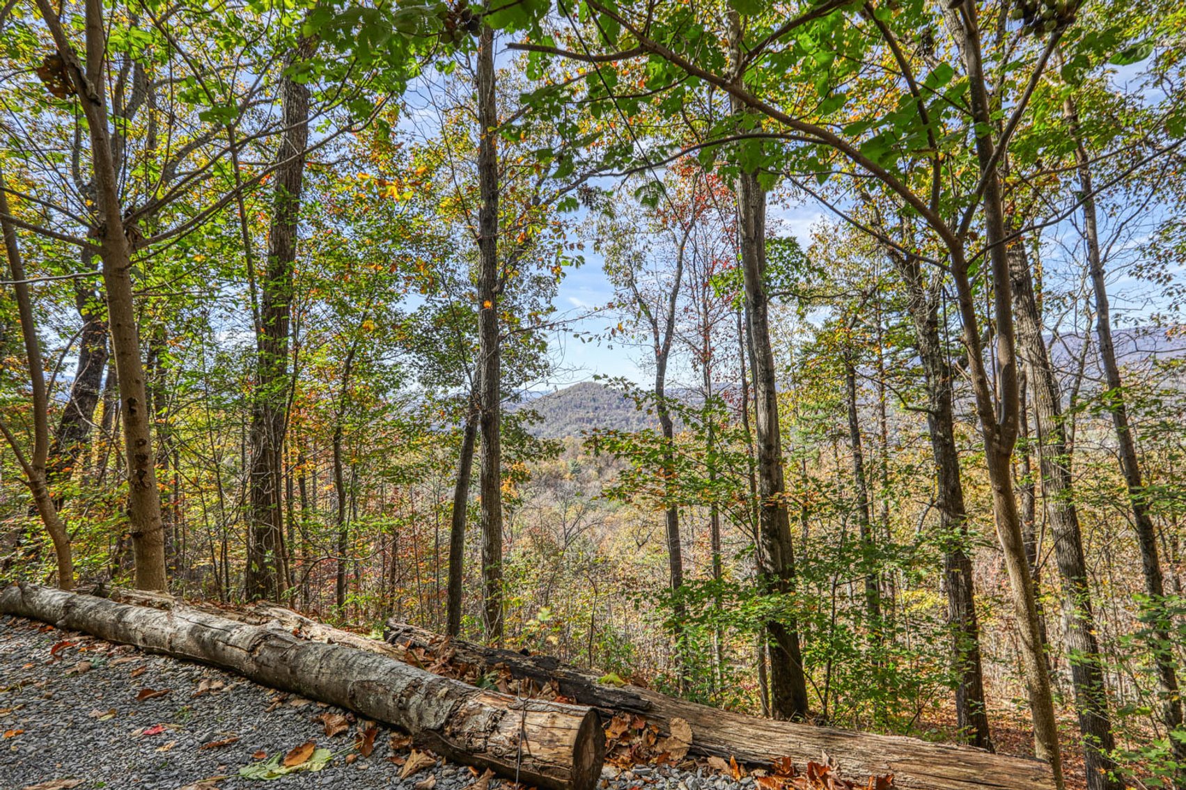 Image for Get Farther Away Cabin Rentals - 1900 Woodland Way. Newport, TN. Timed Reserve Auction