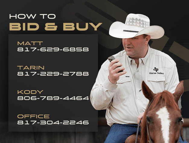 Image for 2026 May -Performance Horse Sale