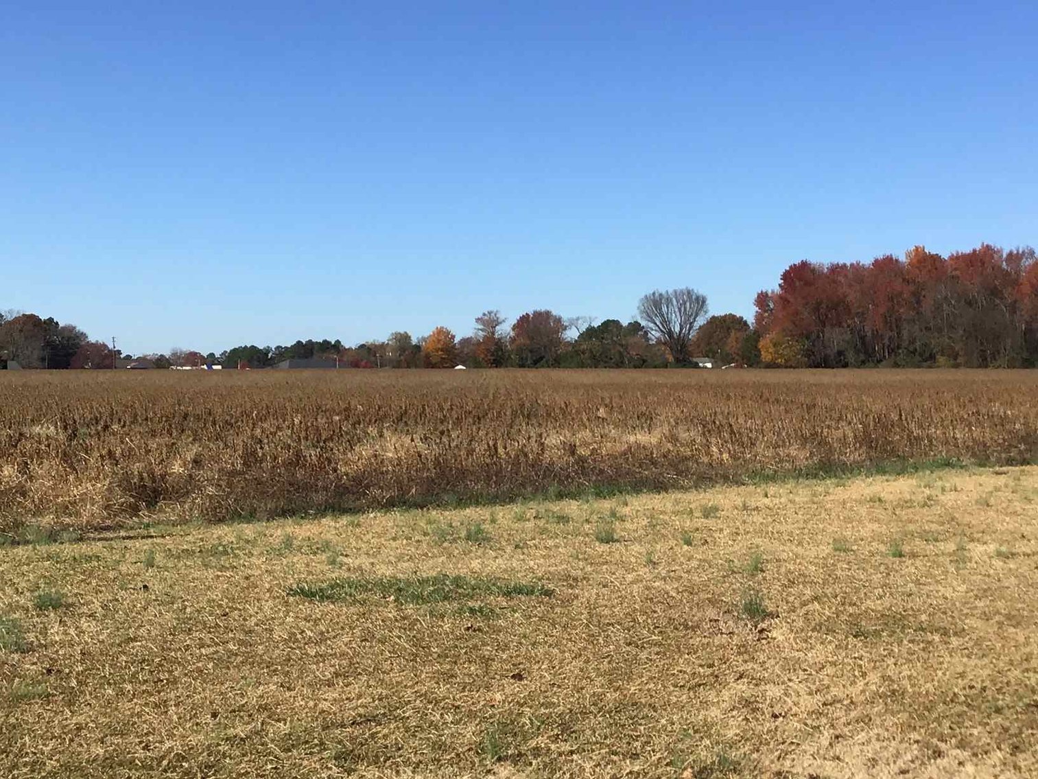 Image for 10 Acres Adjacent to Canterbury Subdivision in Dunn, NC