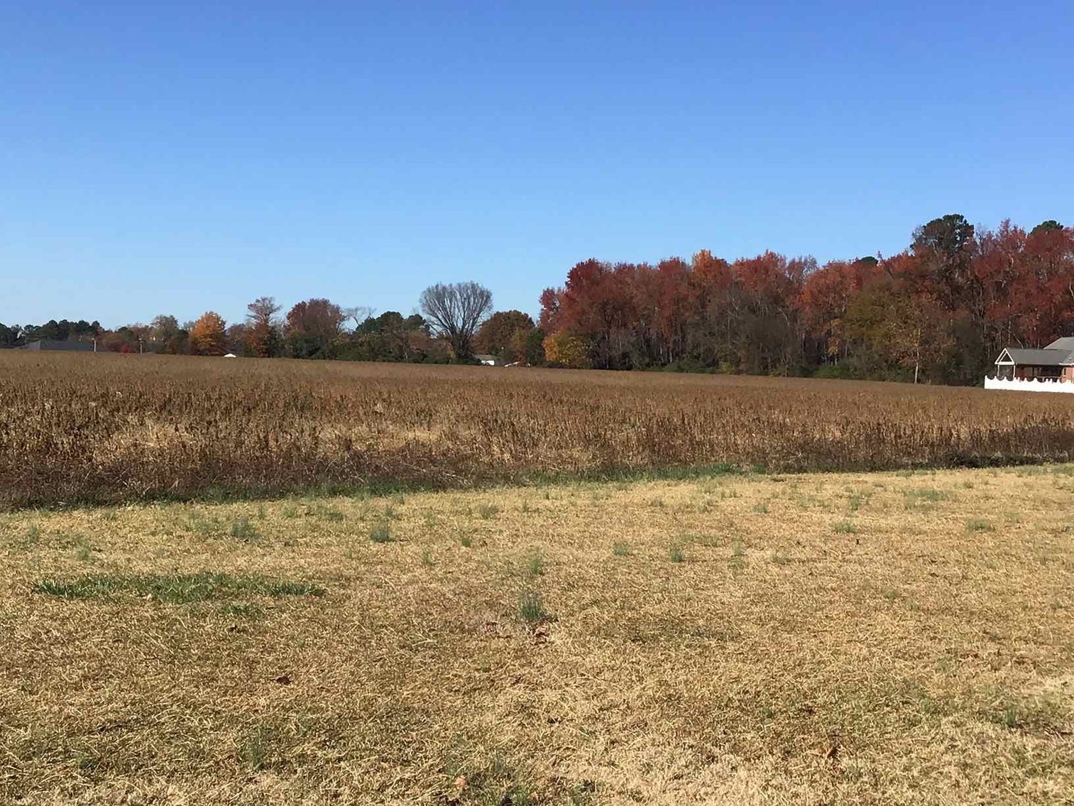 Image for 10 Acres Adjacent to Canterbury Subdivision in Dunn, NC
