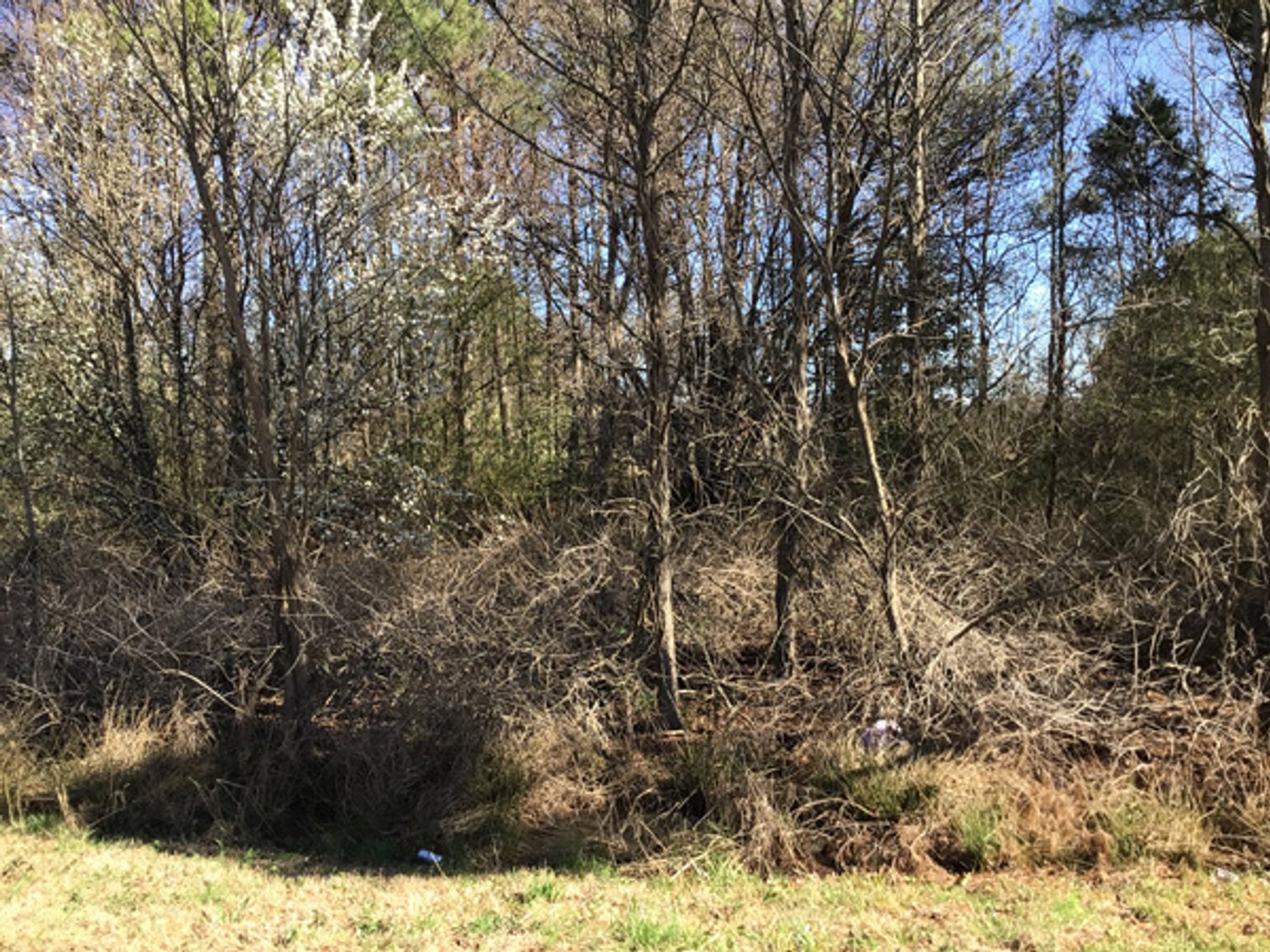 Image for NCDOT 2023 Residue Property Online Only Auction
