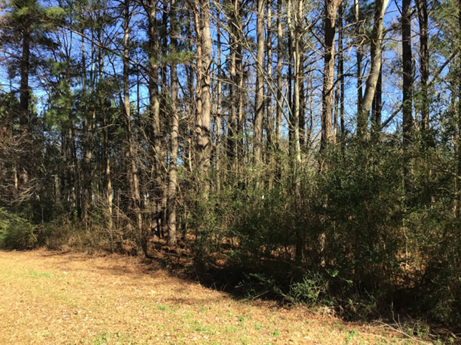 Image for NCDOT 2023 Residue Property Online Only Auction