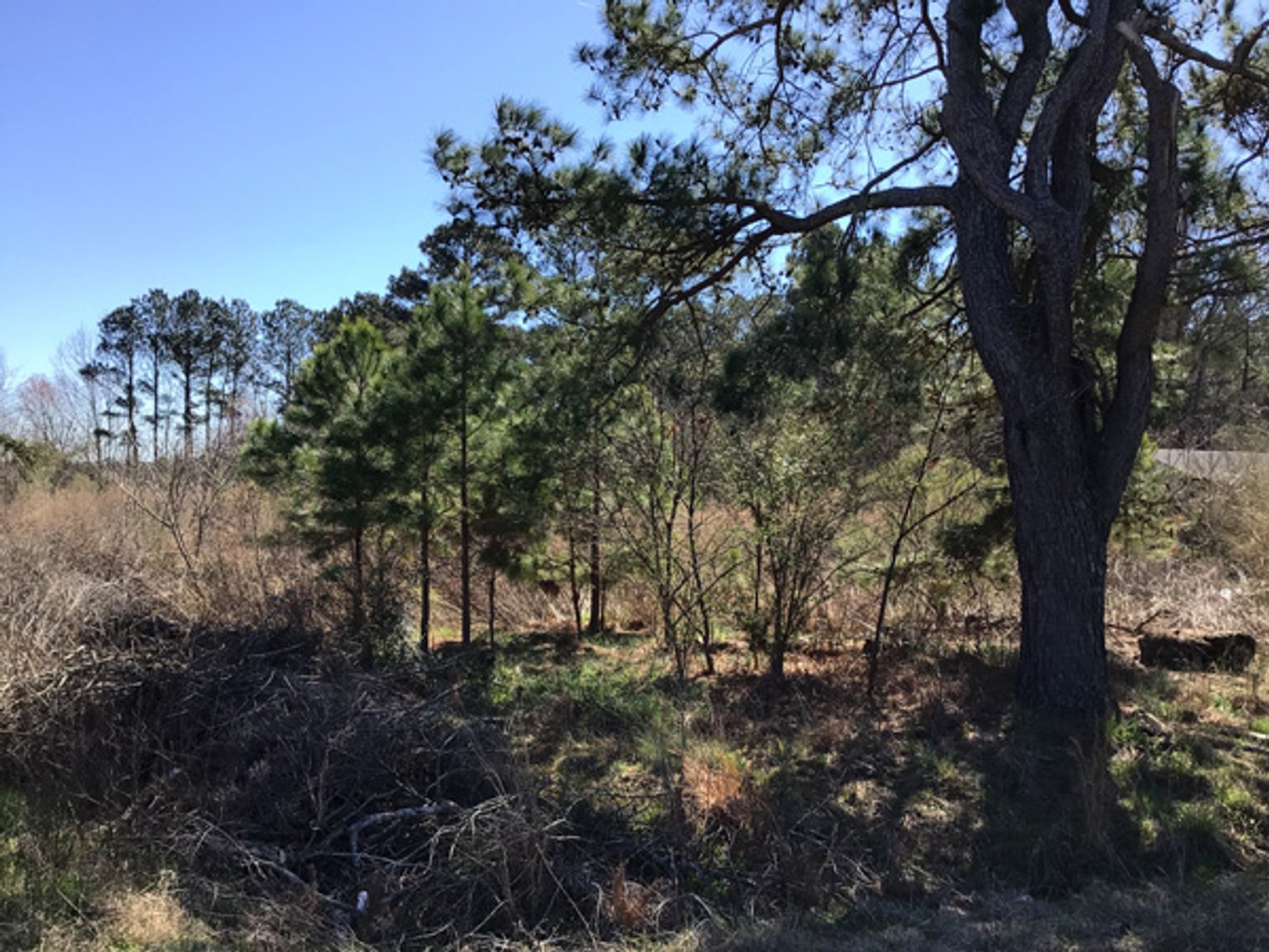 Image for NCDOT 2023 Residue Property Online Only Auction