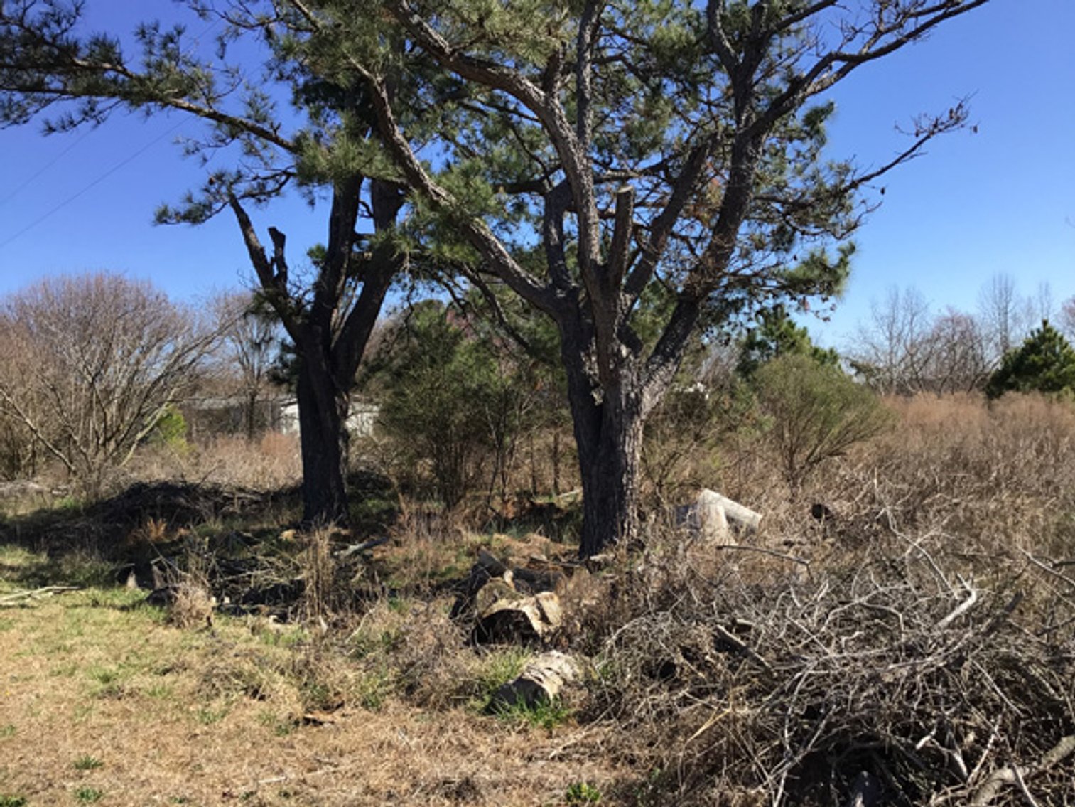 Image for NCDOT 2023 Residue Property Online Only Auction