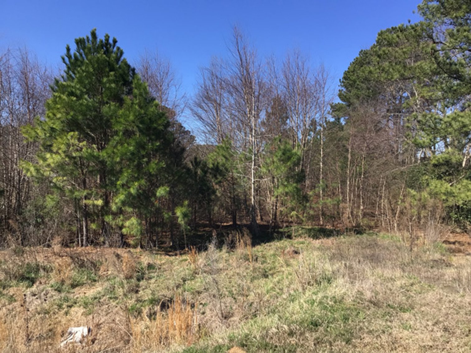 Image for NCDOT 2023 Residue Property Online Only Auction
