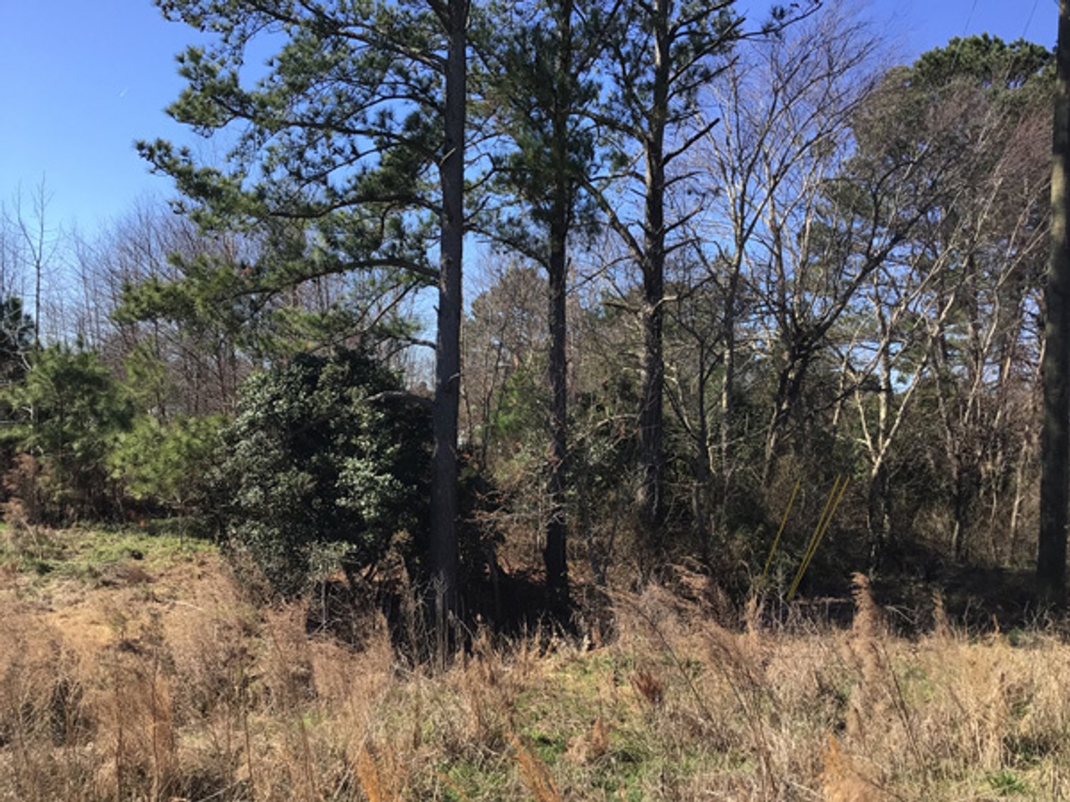 Image for NCDOT 2023 Residue Property Online Only Auction