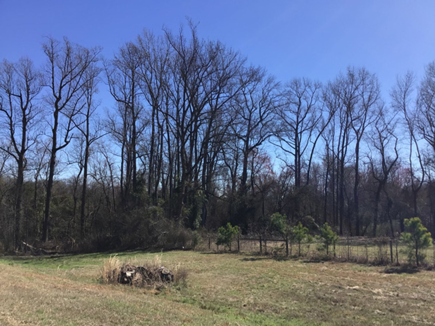 Image for NCDOT 2023 Residue Property Online Only Auction