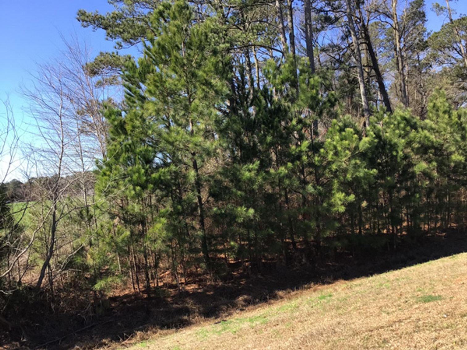 Image for NCDOT 2023 Residue Property Online Only Auction