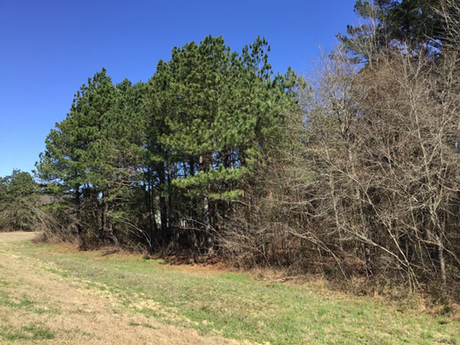 Image for NCDOT 2023 Residue Property Online Only Auction