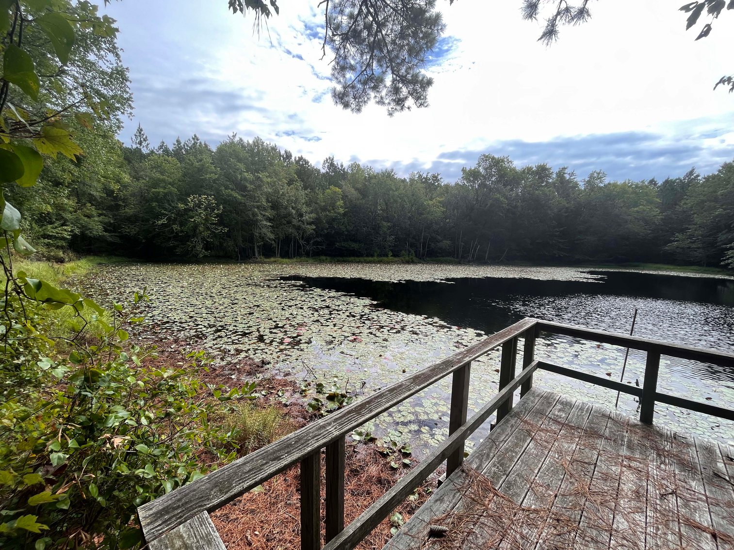 Image for 43 acres in Harnett County with a brick home in an onsite live /online / simulcast auction event!