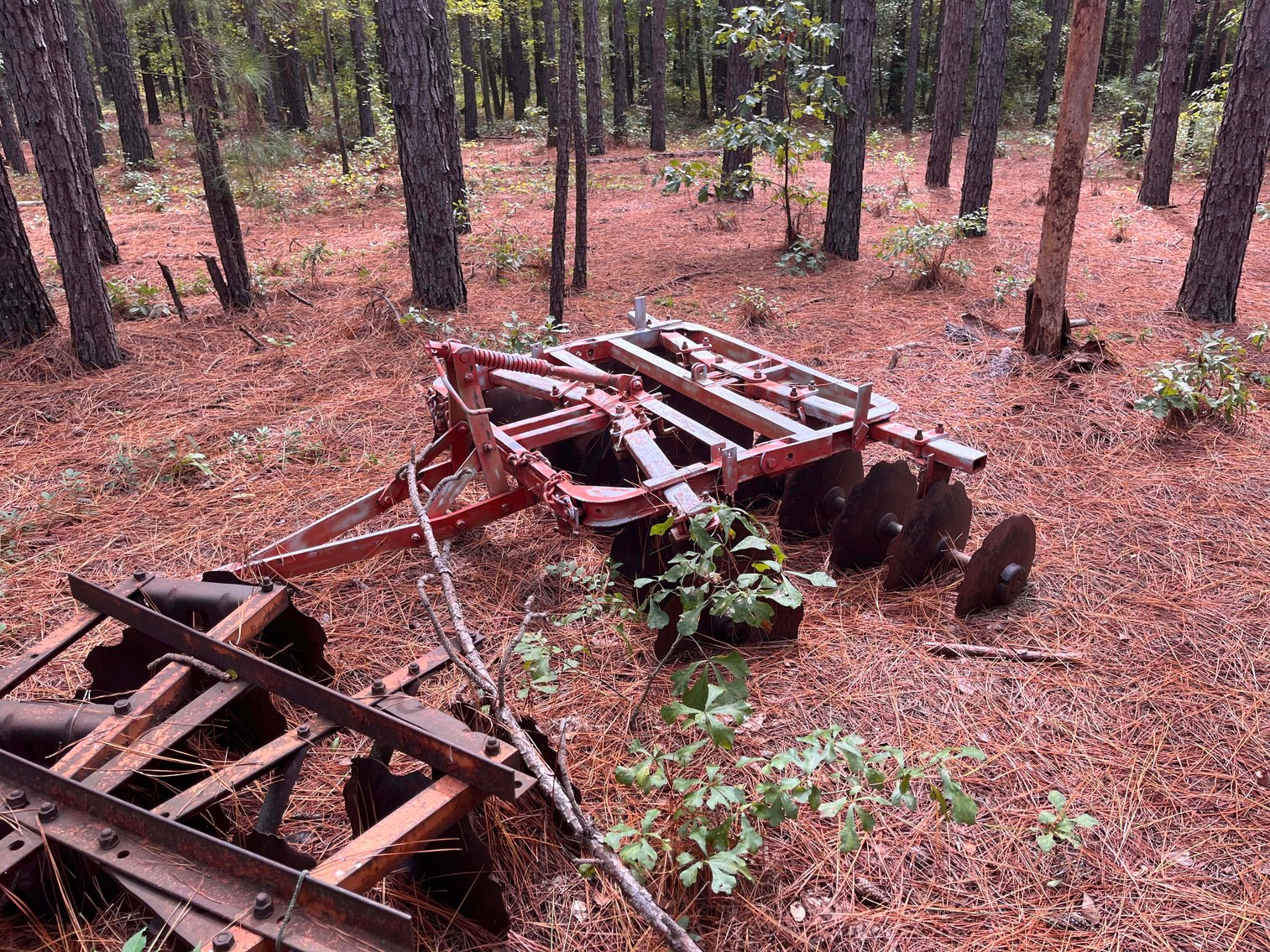 Image for Big Boys Toys Fall 2023