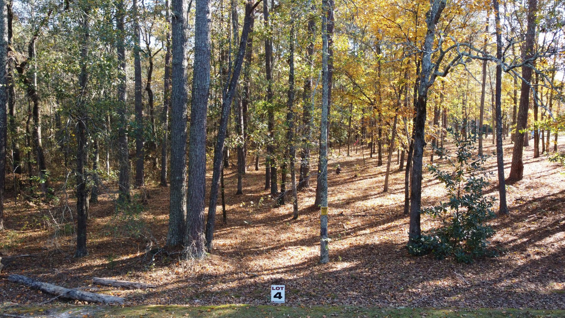 Image for 43 acres in Harnett County with a brick home in an onsite live /online / simulcast auction event!