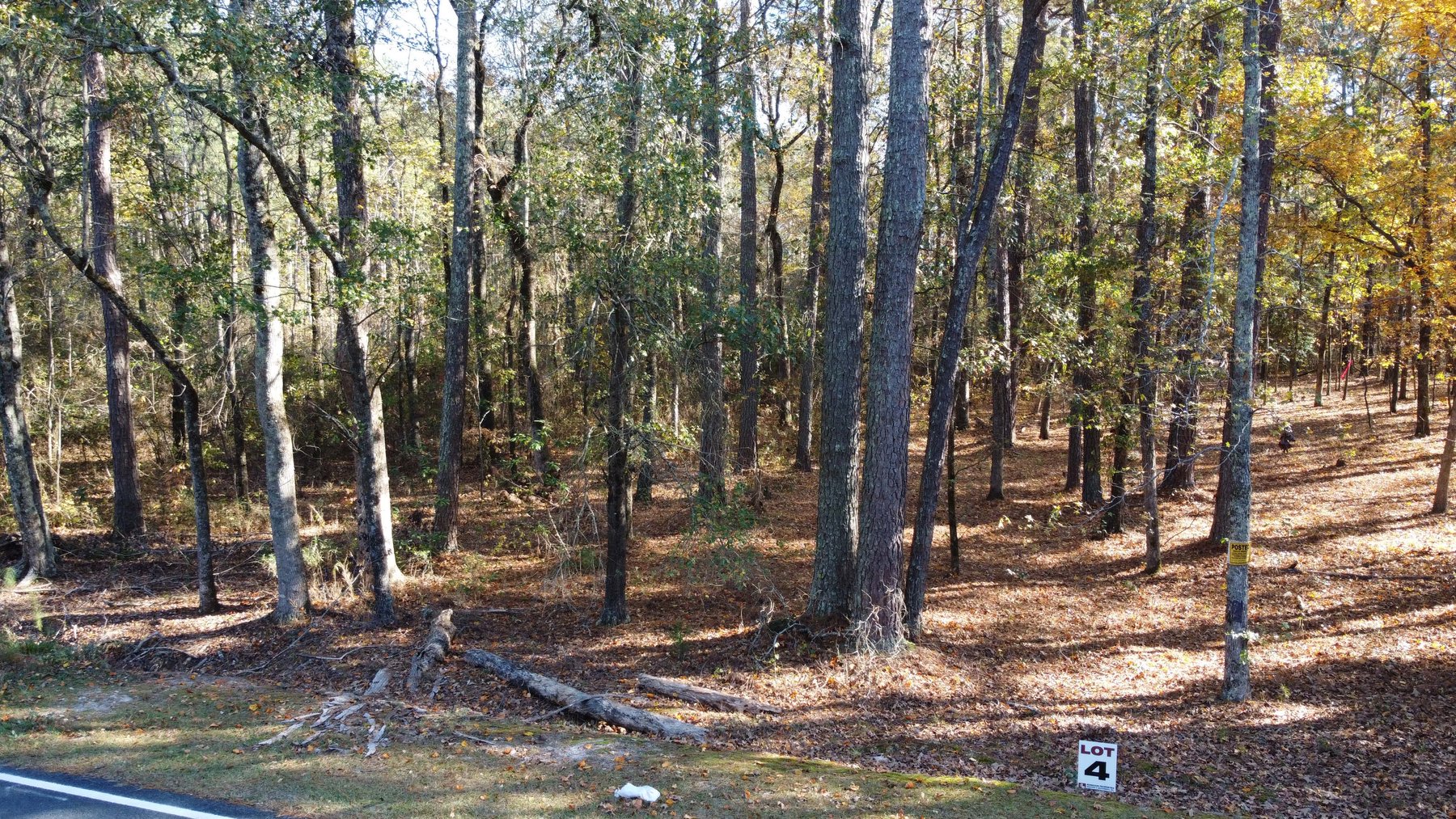 Image for 43 acres in Harnett County with a brick home in an onsite live /online / simulcast auction event!