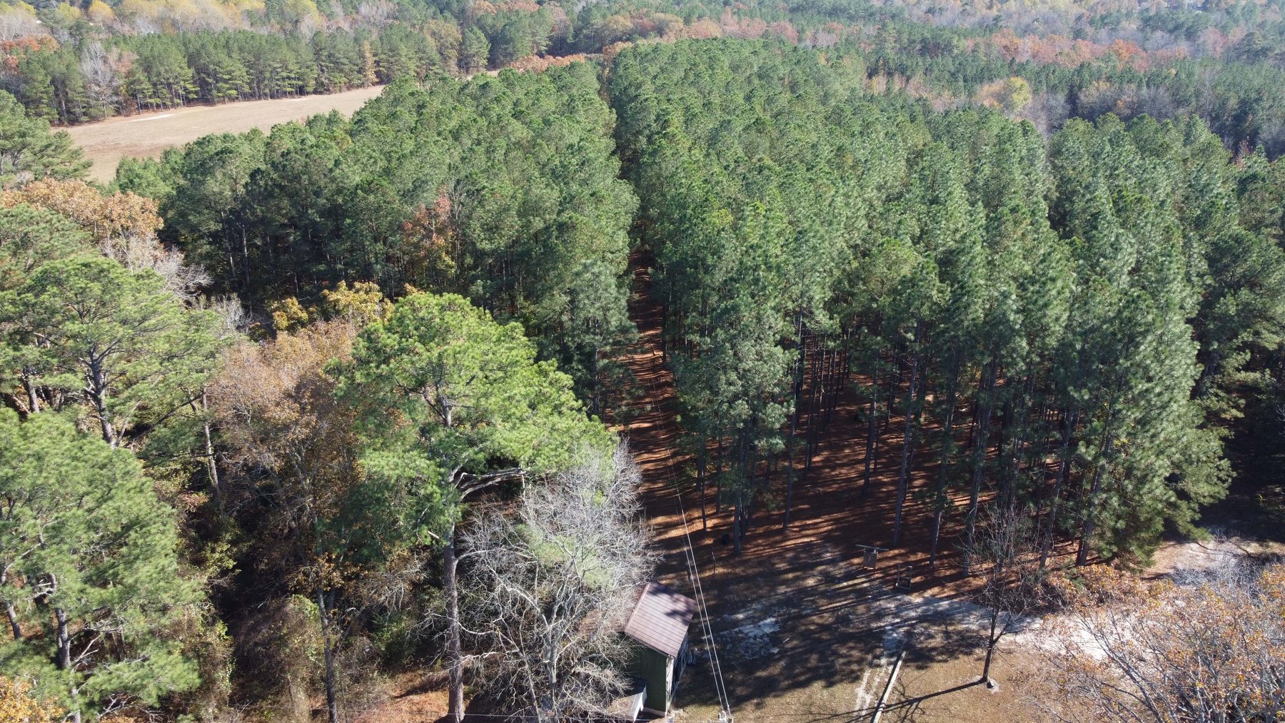 Image for 43 acres in Harnett County with a brick home in an onsite live /online / simulcast auction event!