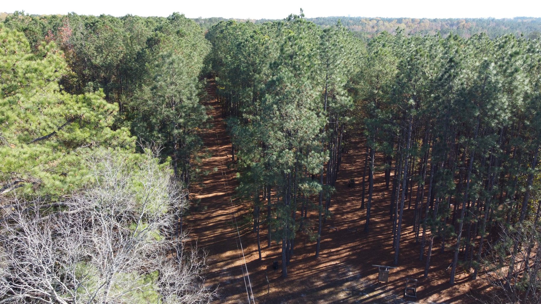 Image for 43 acres in Harnett County with a brick home in an onsite live /online / simulcast auction event!