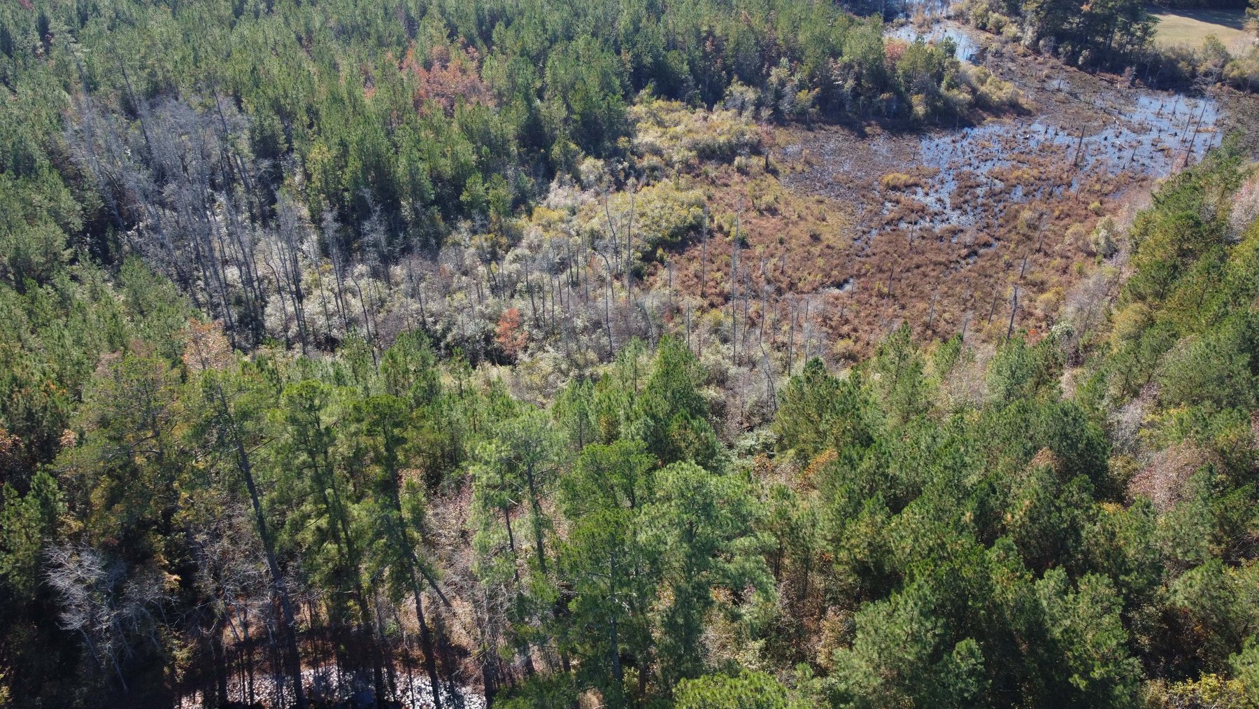 Image for 43 acres in Harnett County with a brick home in an onsite live /online / simulcast auction event!