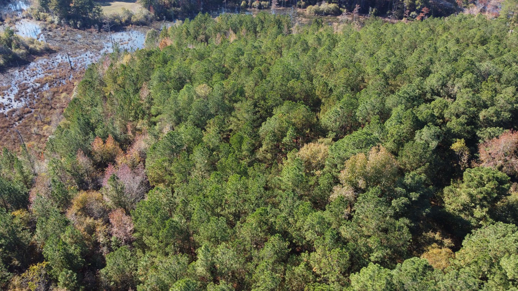 Image for 43 acres in Harnett County with a brick home in an onsite live /online / simulcast auction event!