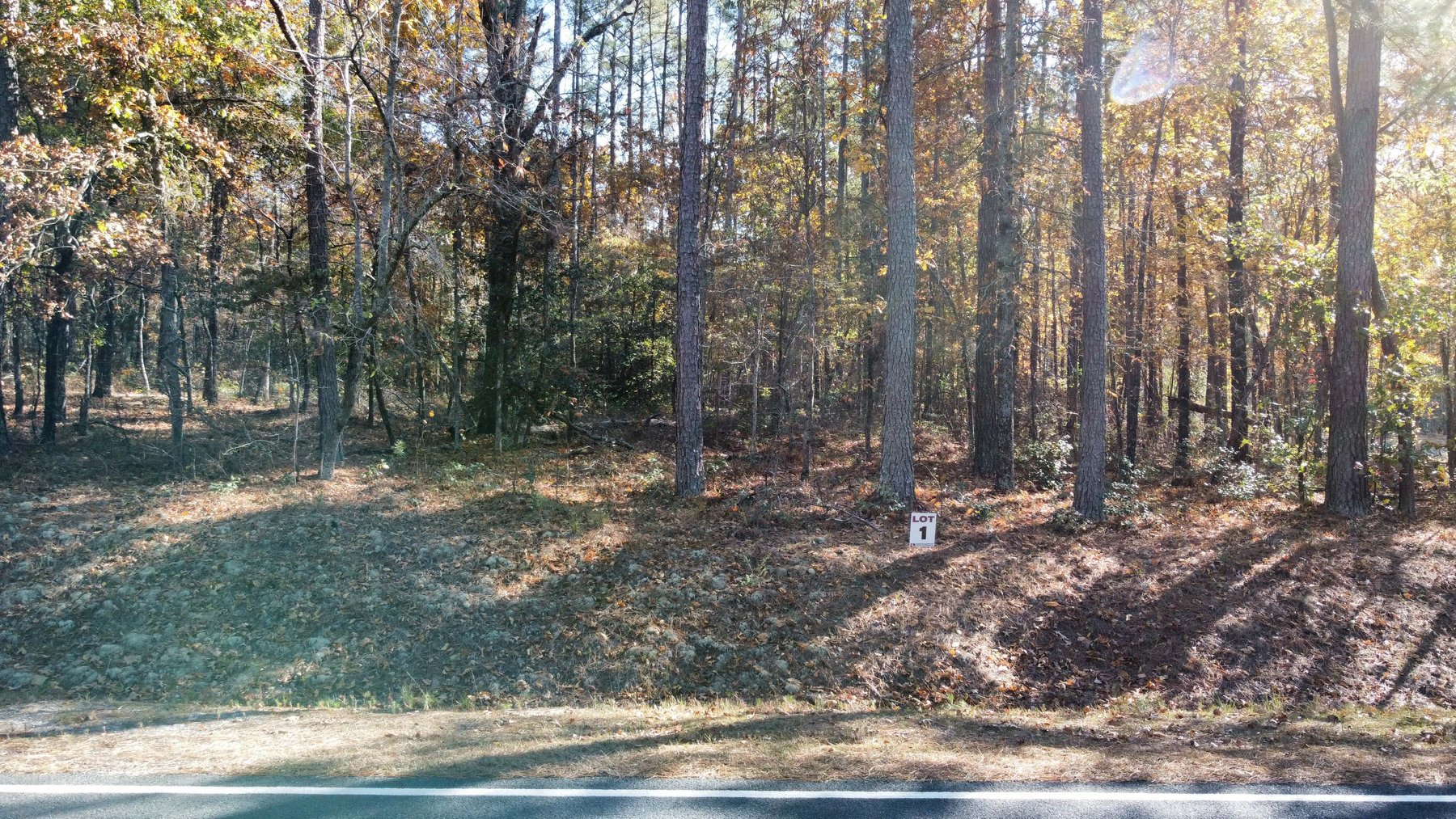 Image for 43 acres in Harnett County with a brick home in an onsite live /online / simulcast auction event!