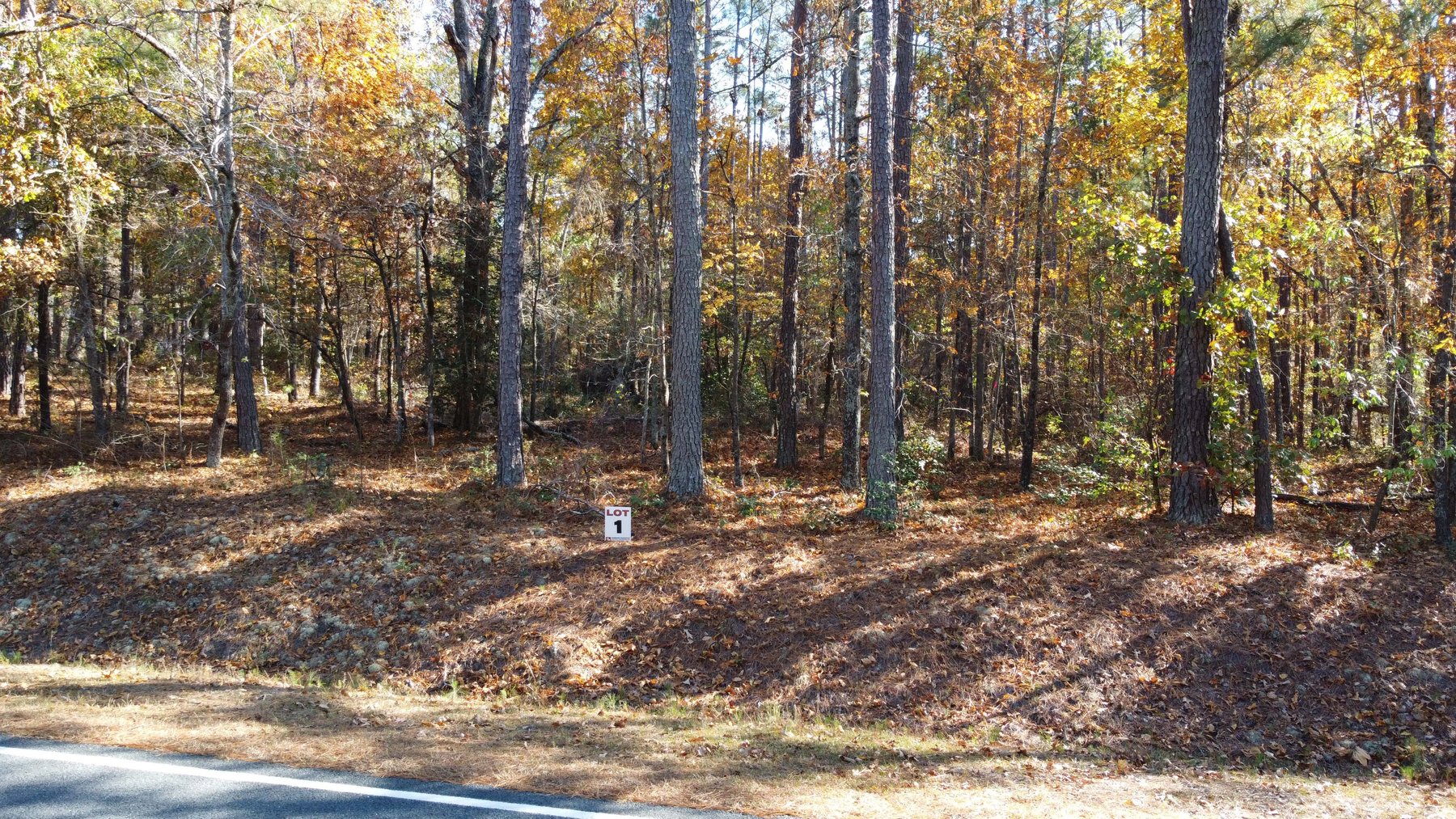 Image for 43 acres in Harnett County with a brick home in an onsite live /online / simulcast auction event!