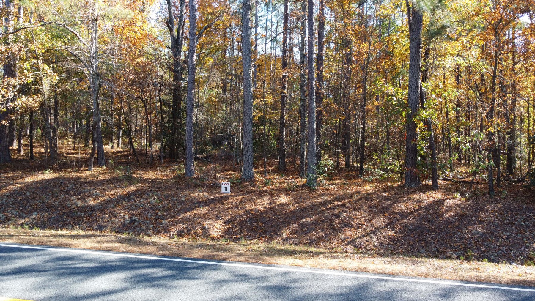 Image for 43 acres in Harnett County with a brick home in an onsite live /online / simulcast auction event!