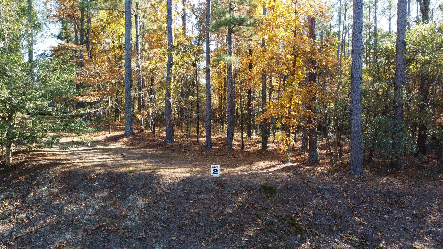 Image for 43 acres in Harnett County with a brick home in an onsite live /online / simulcast auction event!