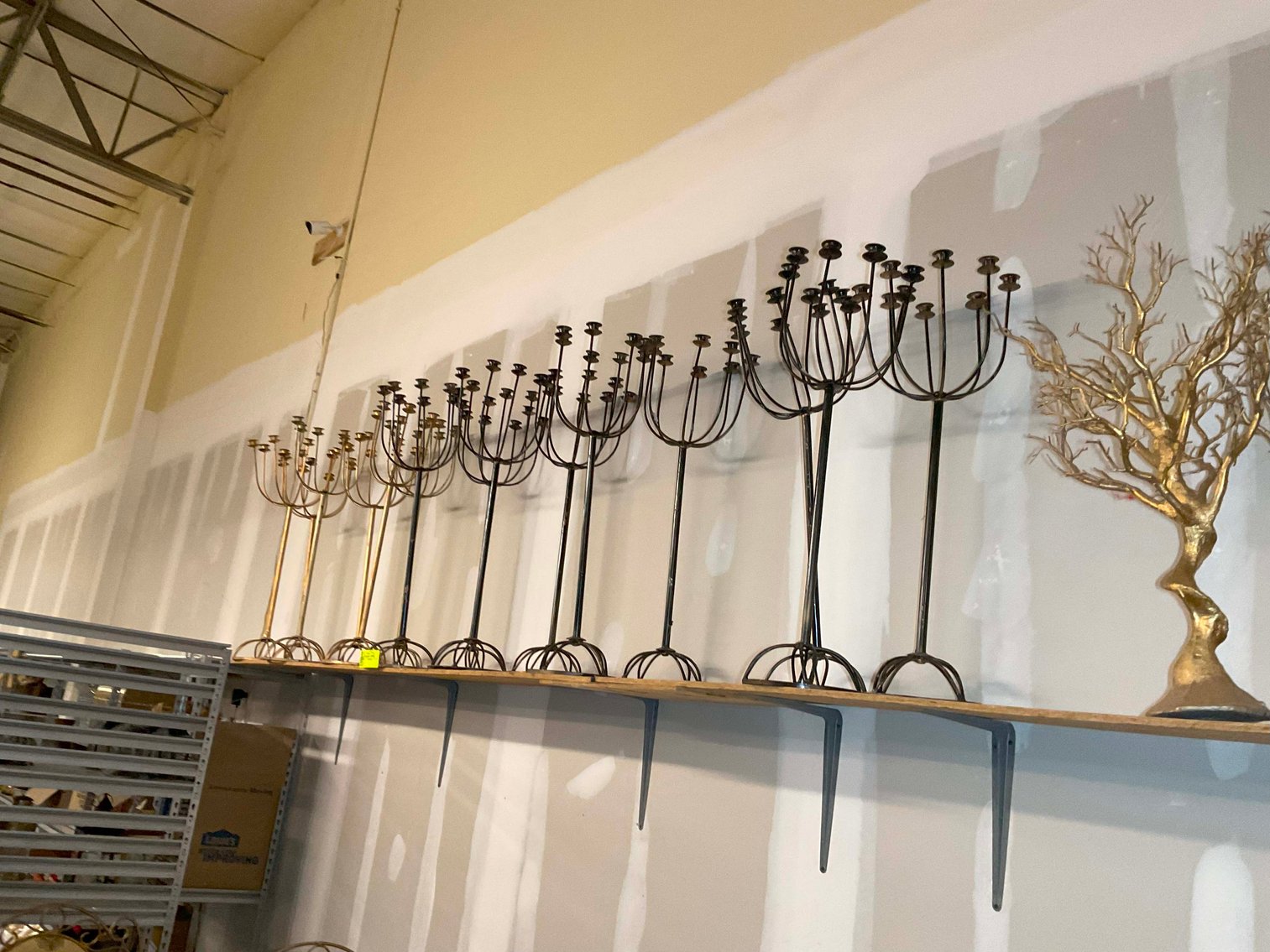 Image for Wedding Venue Provider and Decorator LIVE Auction Event