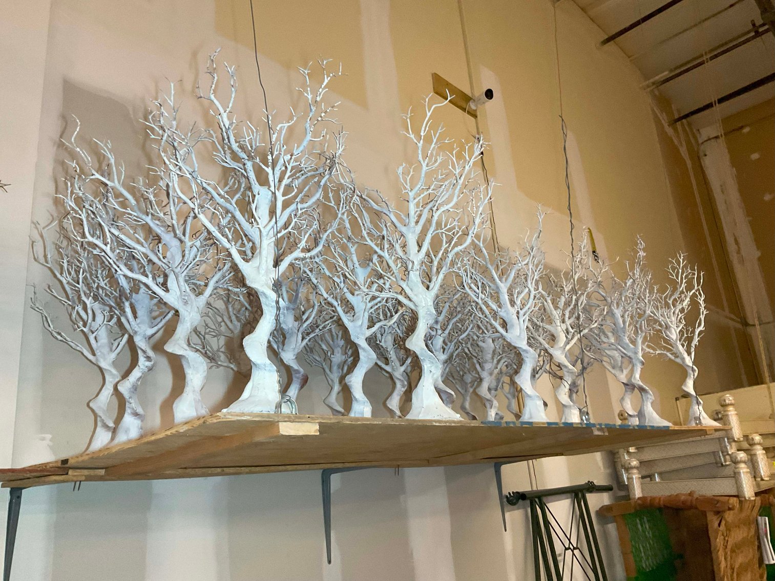 Image for Wedding Venue Provider and Decorator LIVE Auction Event