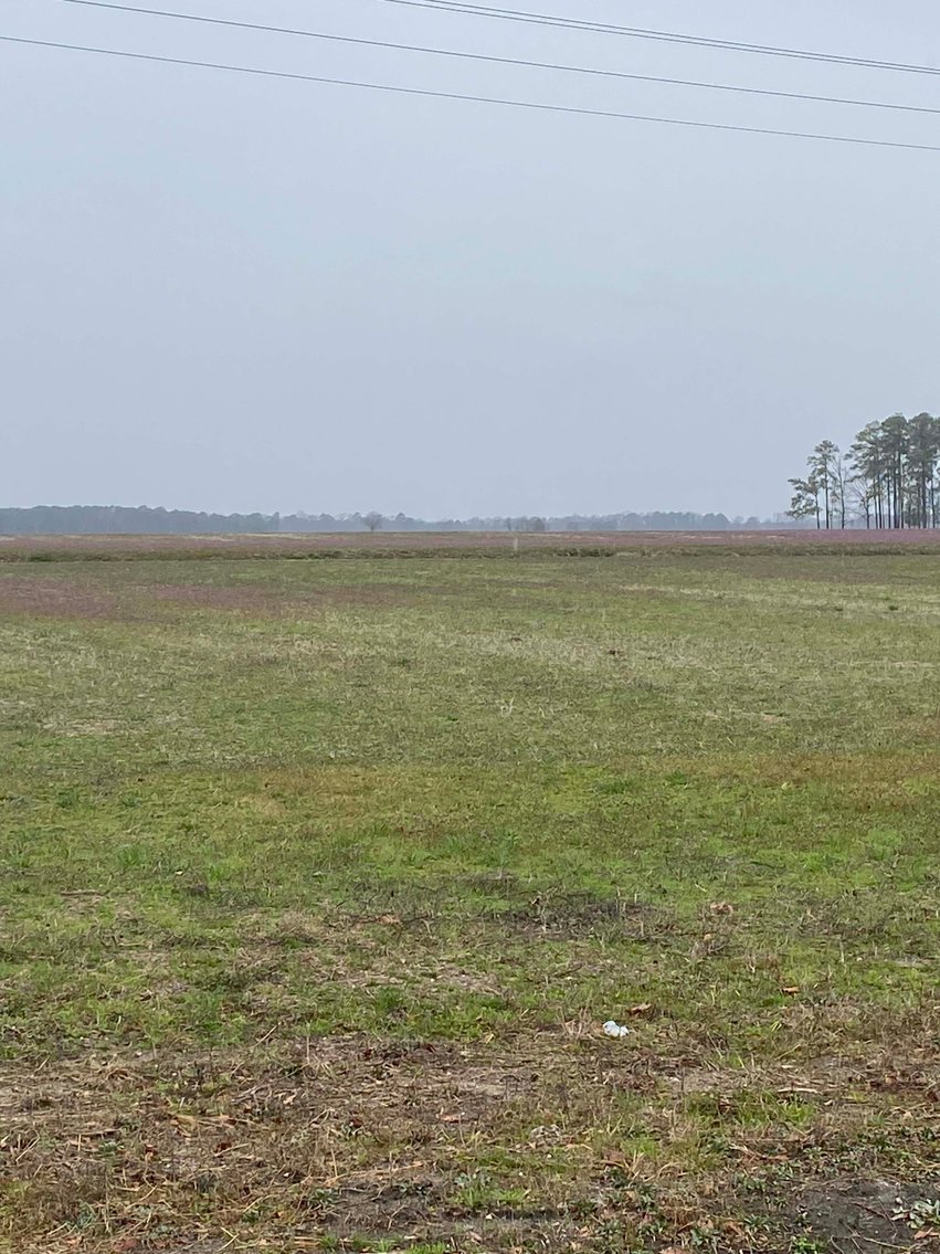 Image for The John J. Madura Estate (deceased) Cumberland County  Real Estate Auction!  65 + acres divided and a Home!