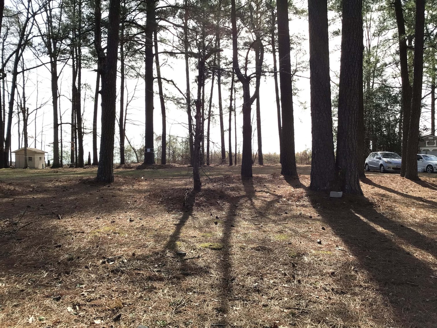 Image for Vacant Lot in Wilson