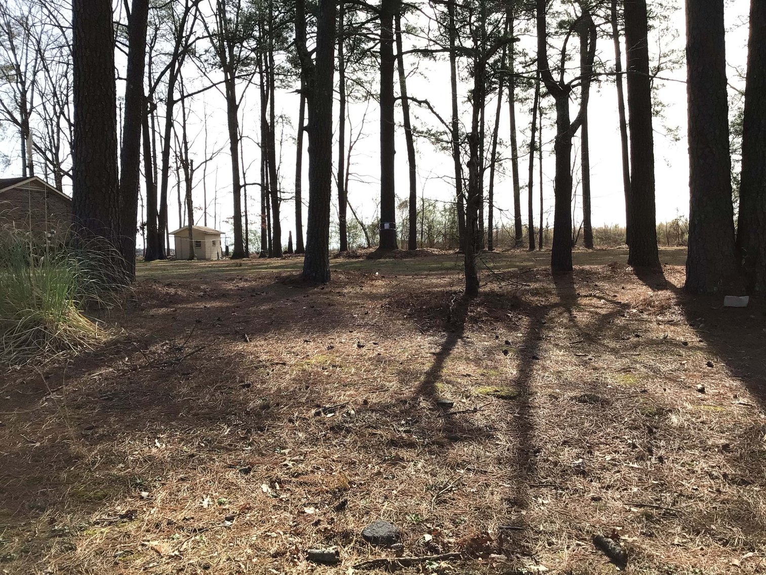 Image for Vacant Lot in Wilson