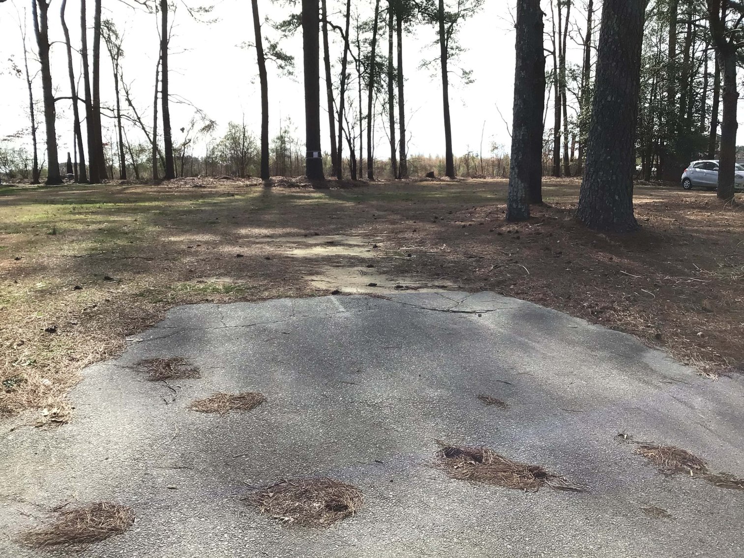 Image for Vacant Lot in Wilson