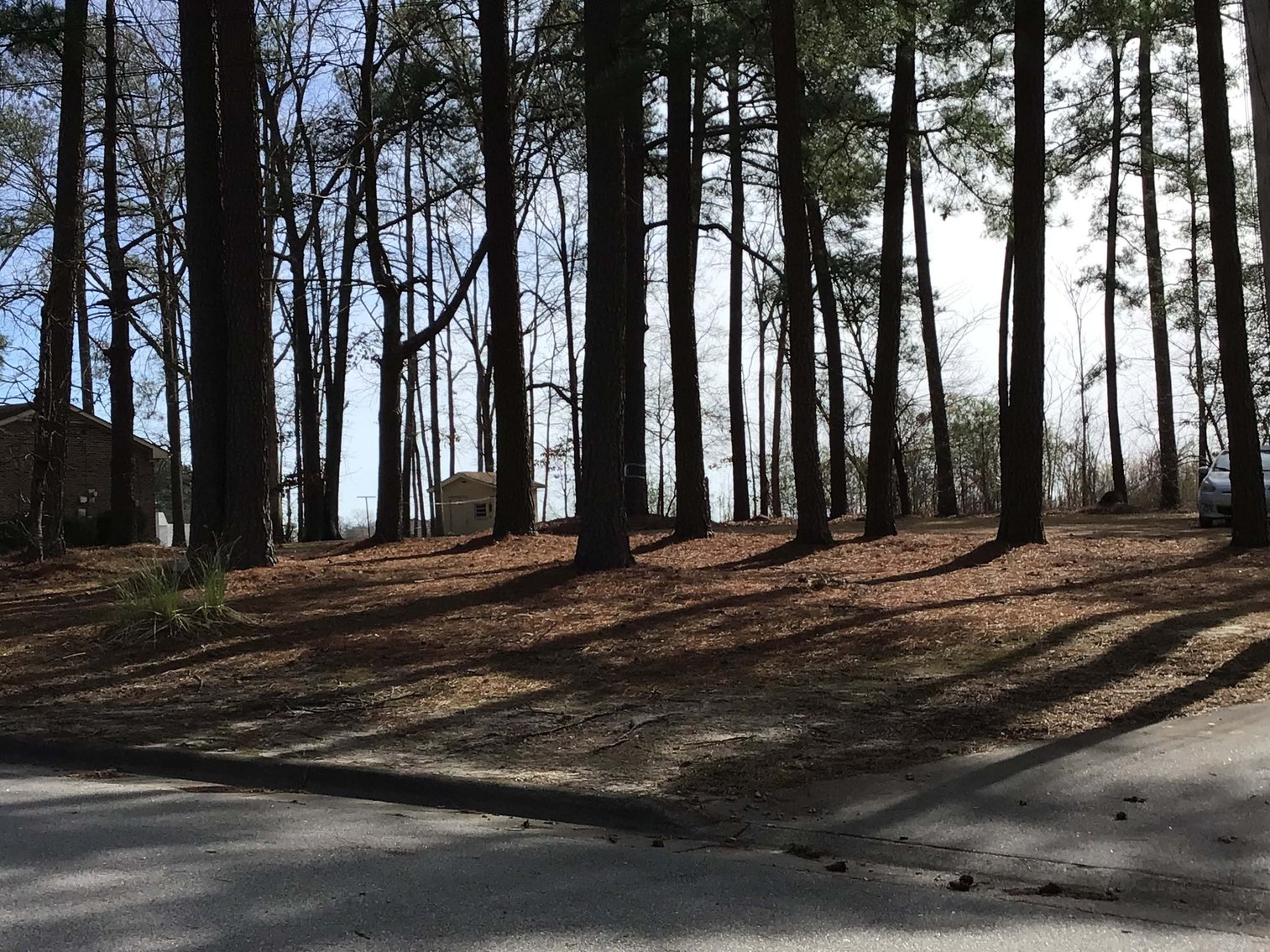 Image for Vacant Lot in Wilson