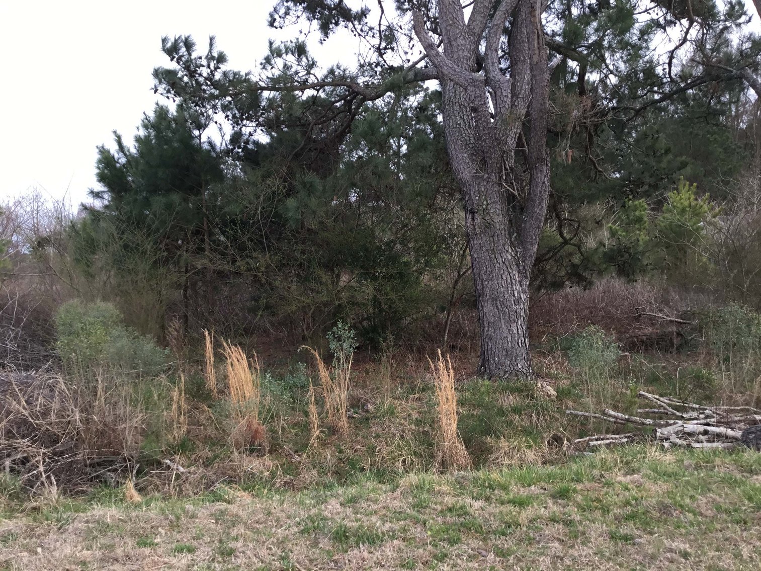 Image for NCDOT 2024 Residue Properties Round 2!