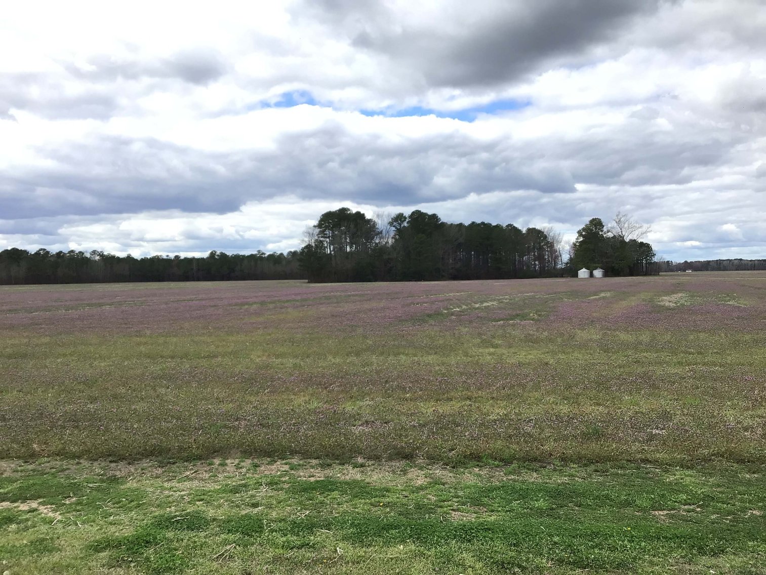 Image for The John J. Madura Estate (deceased) Cumberland County  Real Estate Auction!  65 + acres divided and a Home!