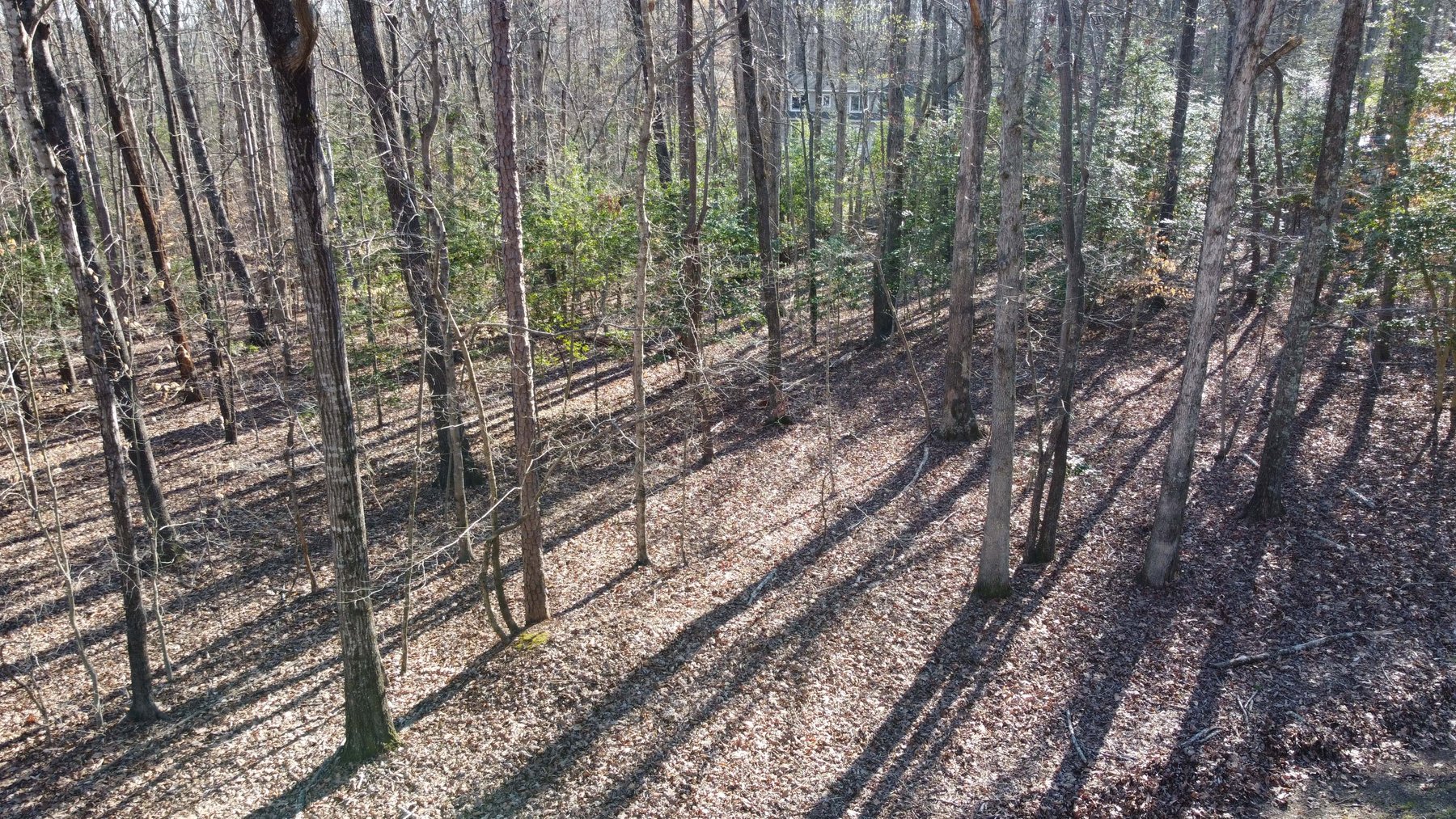 Image for Lake House and Two Lots on Kerr Lake in Clarksville, VA!