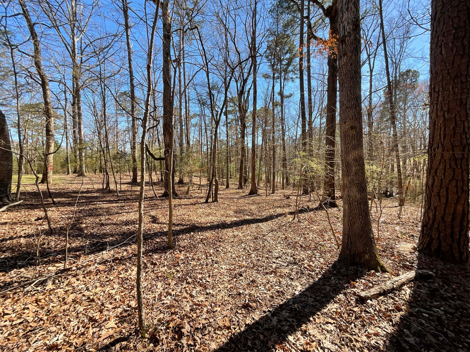 Image for Lake House and Two Lots on Kerr Lake in Clarksville, VA!