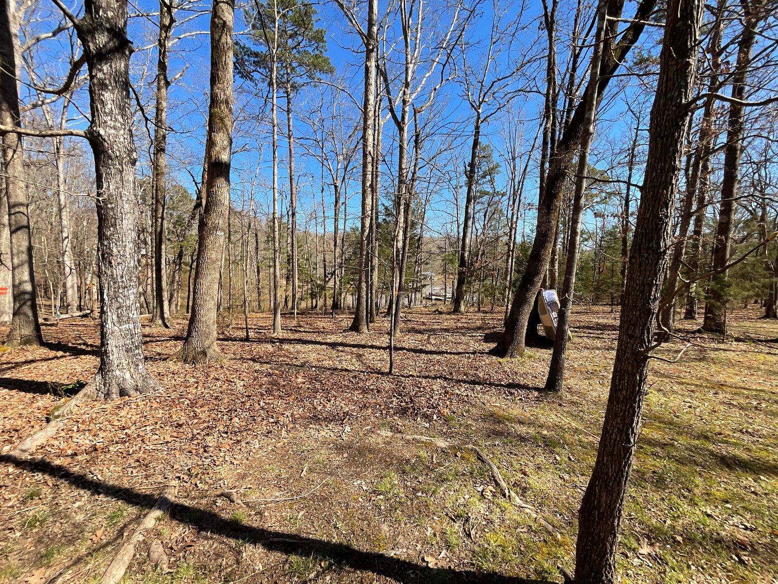 Image for Lake House and Two Lots on Kerr Lake in Clarksville, VA!