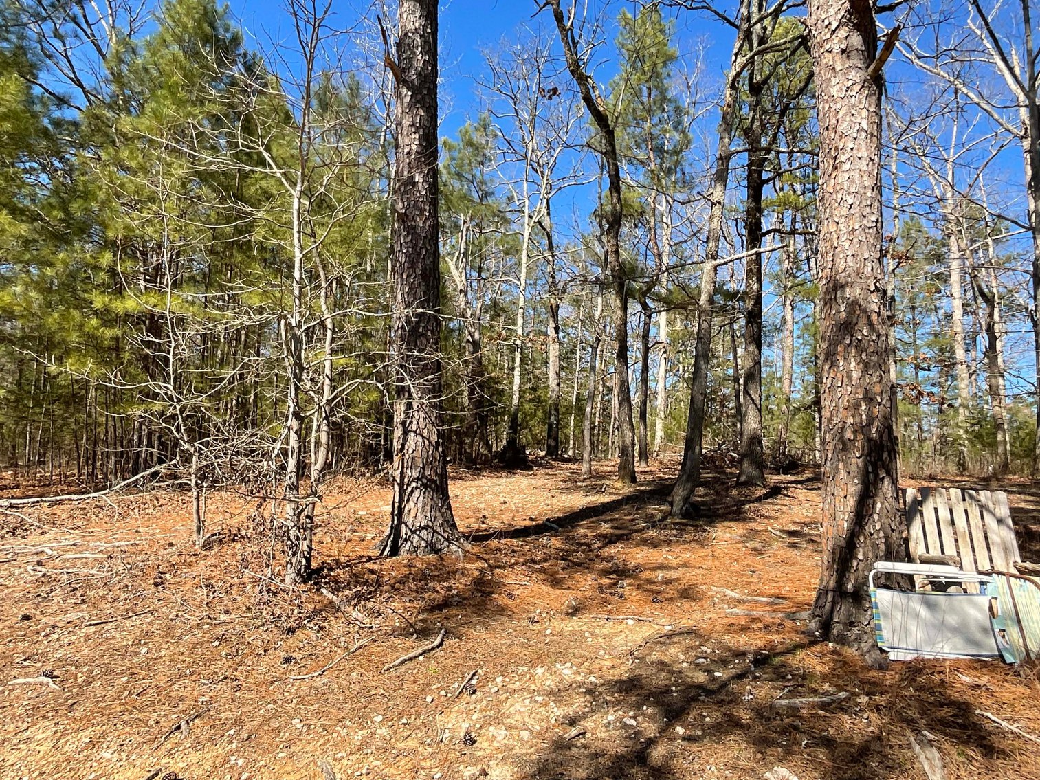 Image for Lake House and Two Lots on Kerr Lake in Clarksville, VA!