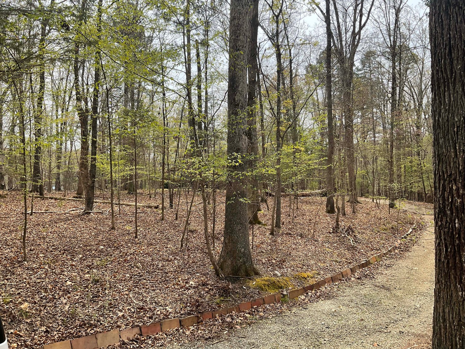 Image for Lake House and Two Lots on Kerr Lake in Clarksville, VA!