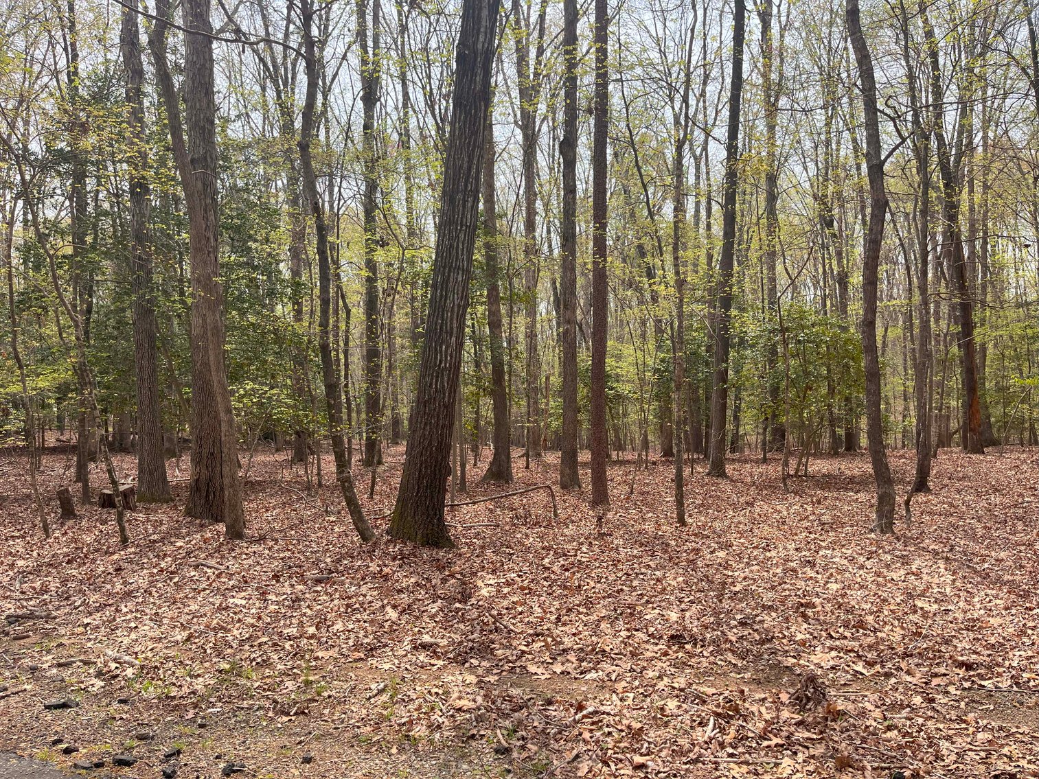 Image for Lake House and Two Lots on Kerr Lake in Clarksville, VA!