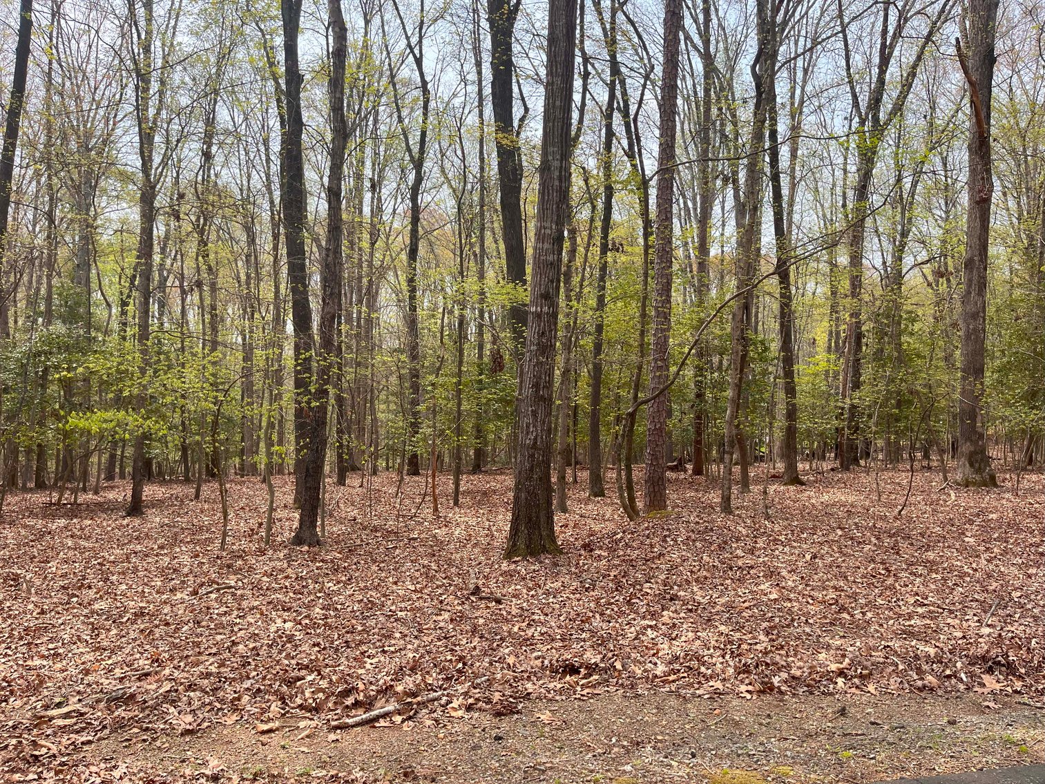 Image for Lake House and Two Lots on Kerr Lake in Clarksville, VA!