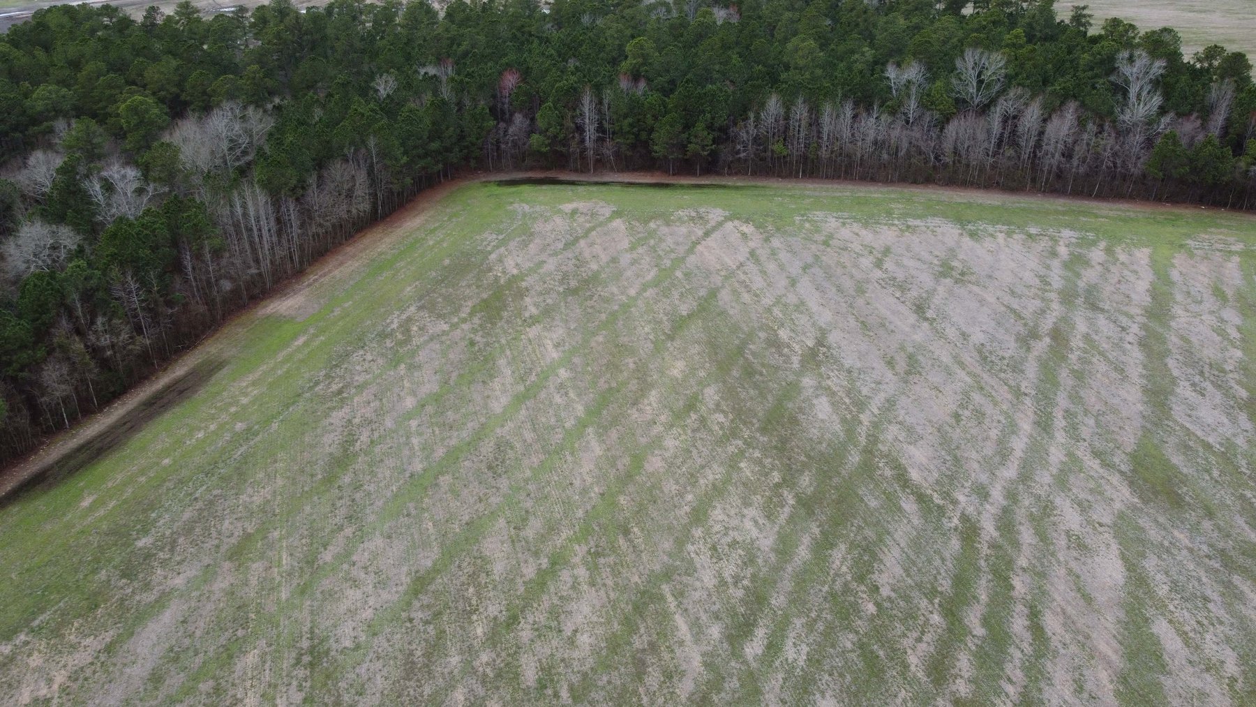 Image for The John J. Madura Estate (deceased) Cumberland County  Real Estate Auction!  65 + acres divided and a Home!