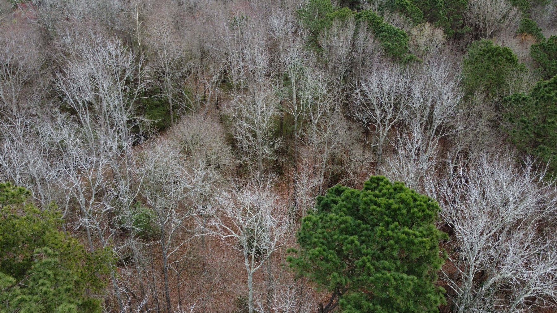 Image for The John J. Madura Estate (deceased) Cumberland County  Real Estate Auction!  65 + acres divided and a Home!