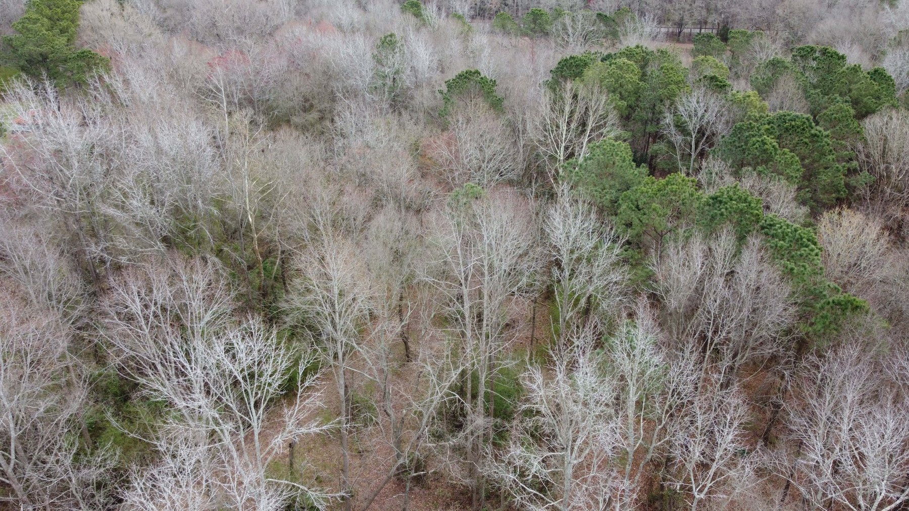 Image for The John J. Madura Estate (deceased) Cumberland County  Real Estate Auction!  65 + acres divided and a Home!