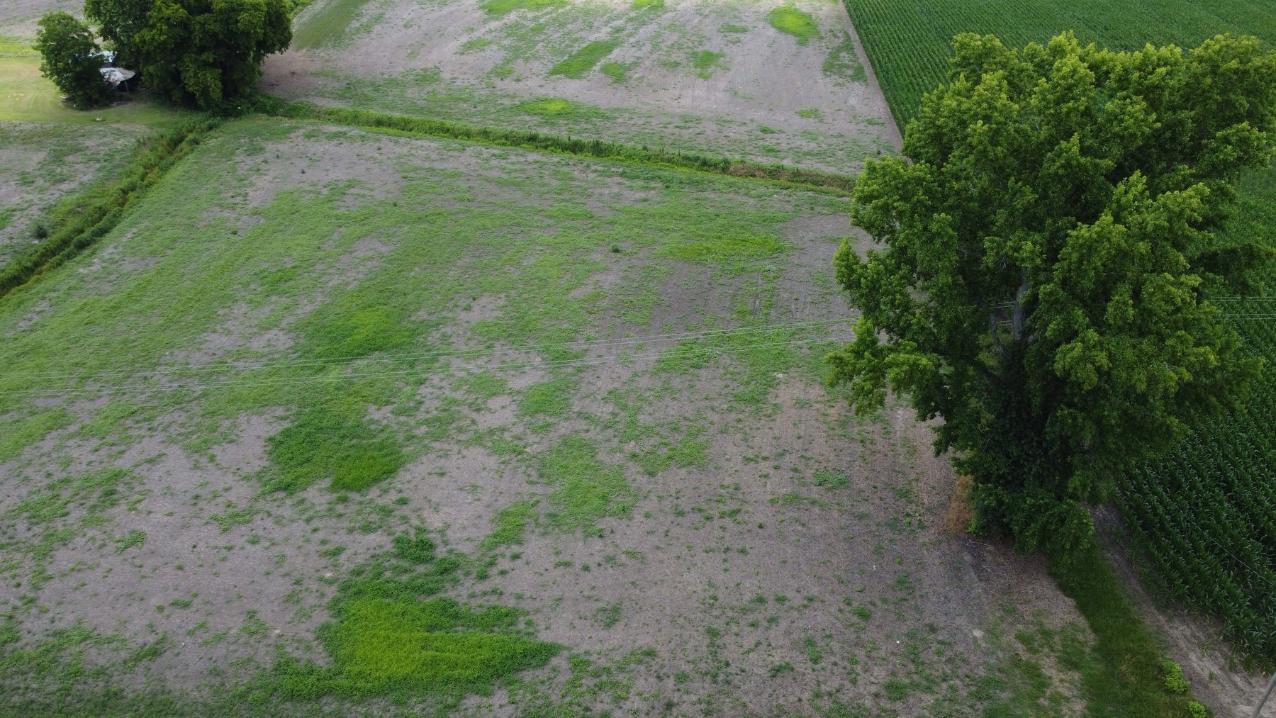 Image for The John J. Madura Estate (deceased) Cumberland County  Real Estate Auction!  65 + acres divided and a Home!