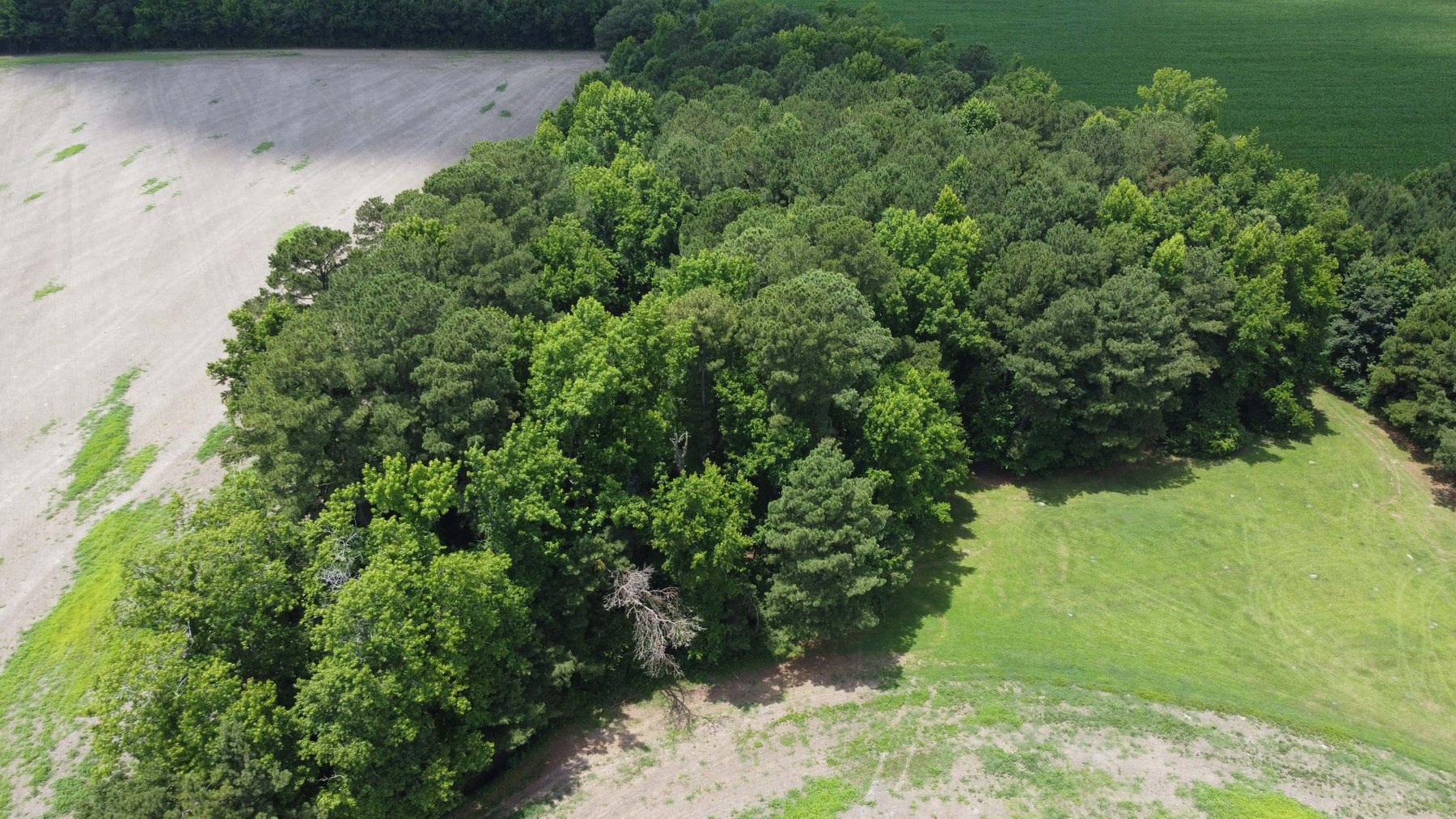 Image for The John J. Madura Estate (deceased) Cumberland County  Real Estate Auction!  65 + acres divided and a Home!